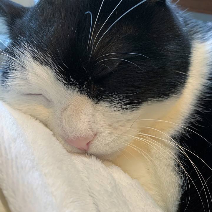 86406e53 2964 4d31 90b5 20501c973977 1701733678336