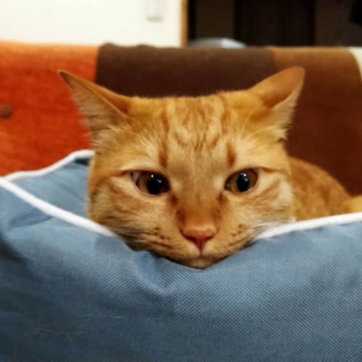 864081d0 fd2d 4dd8 8c76 e9623113cac4 1610114320890