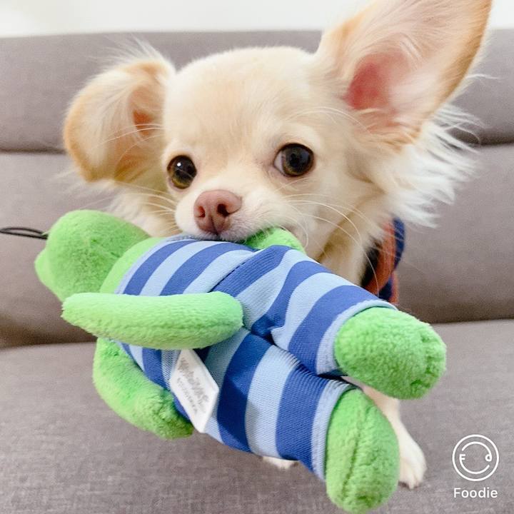 8640a105 e6c4 4d0e b4a6 33404151aae2 1603781668582