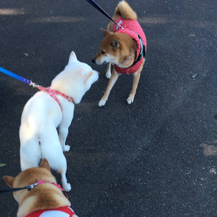 8640e8bf 6c28 4602 9460 8869a8c41d42 1573915740392