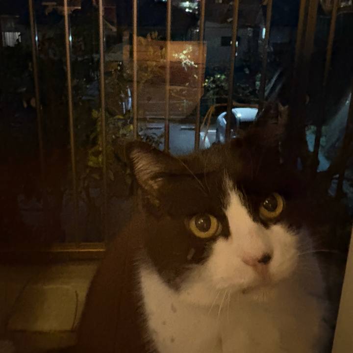 864148ba 7f88 4af1 81fe 4fda5f50f5b4 1774864902740