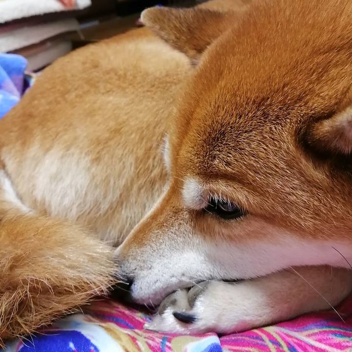 86416729 7b6d 4a7b b3ab 3eb8bb1f7d6c 1672582354799