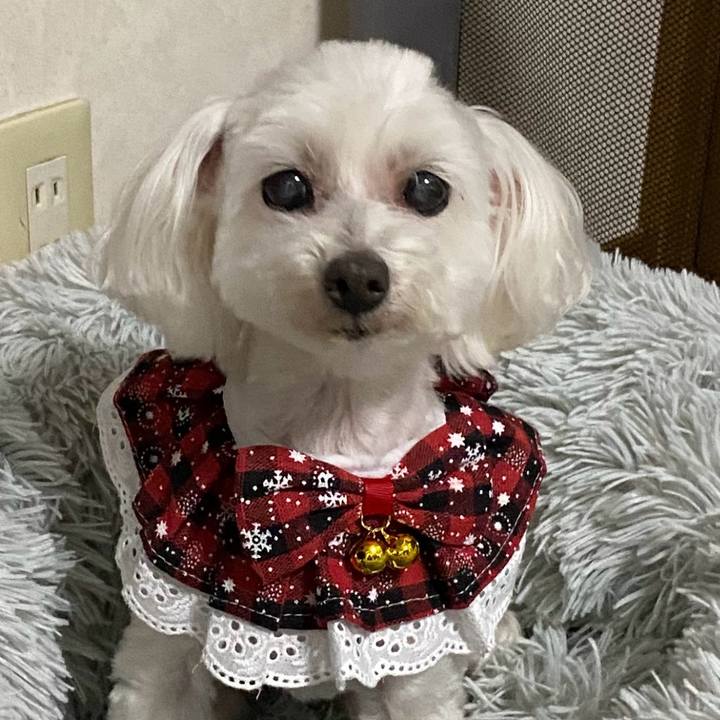 8641adb2 ca5b 4a6f 991e ad5f89c41886 1731915475303