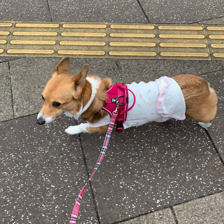 8641d0a8 fb93 47a3 b17e 8c326a63265f 1611731692676