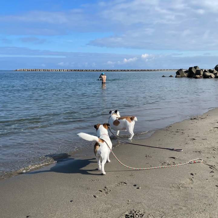 8642229f 3990 4944 a418 c8f2e46d9889 1687648752248