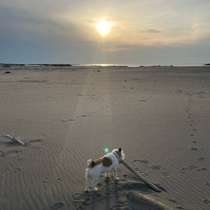 86422821 9995 4100 82d1 affb7ebb95bb 1615537804668