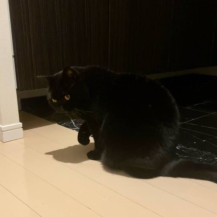 86422d08 f99f 4b1f 9c3f 8038303fe90a 1765975368911