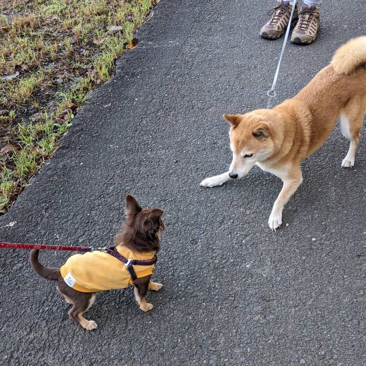 8642485b 17b7 4c4a a1cb 95487e0c75a9 1665733563104