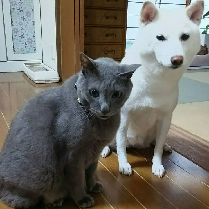 86425ec0 16b3 47d3 a11d 9be7872805c8 1567128495905