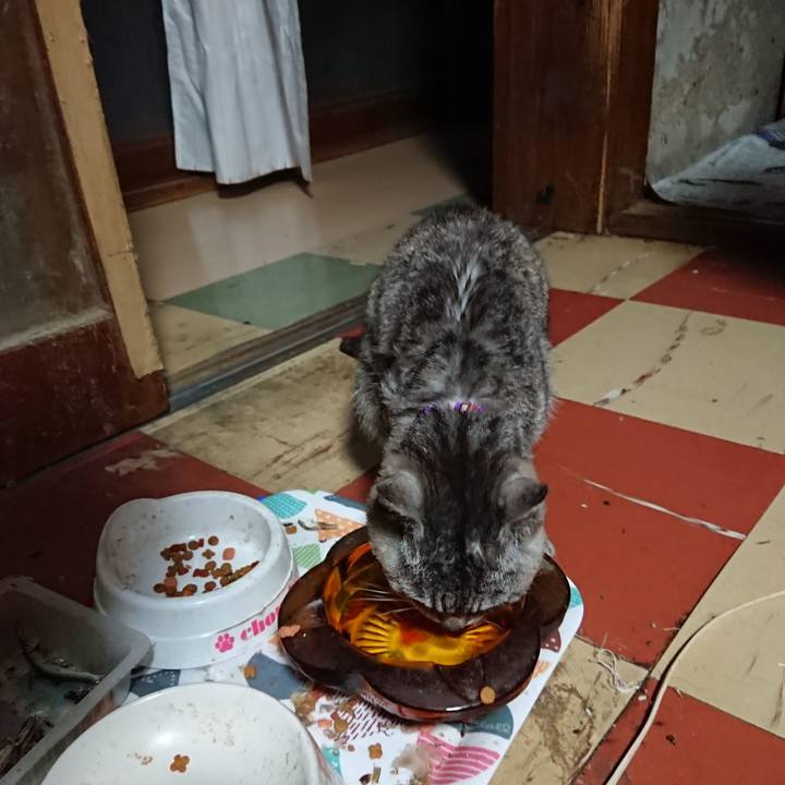 86428a34 2f99 4624 be15 cf9a69ae0a96 1591816234247