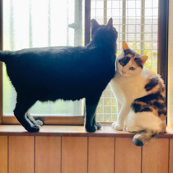 8642e45c 1042 4f41 a878 f6c2e4a55000 1655259723491