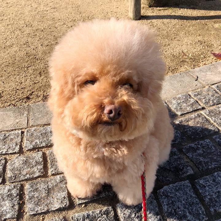 8642f1bd 9eee 4063 9d61 134ca48fe109 1510795892165