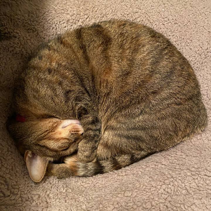 8643059b 7cb2 4b58 a5a8 283ed9674457 1638065187088