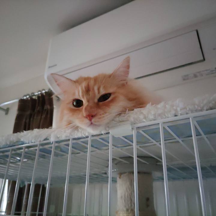 864309da 6943 4182 8e12 d9eedab272b0 1722465121174