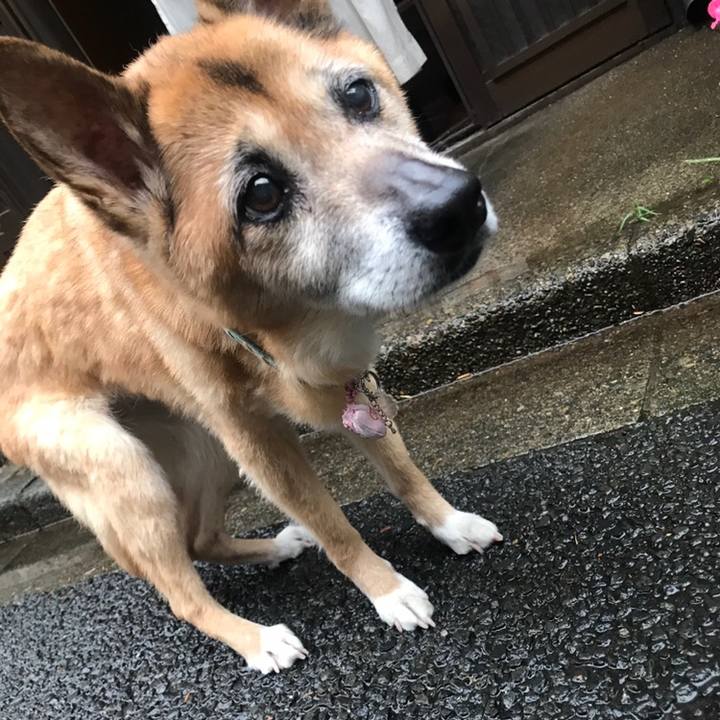 864353b2 c0f4 43f1 8154 62e1c8770b56 1559899032391