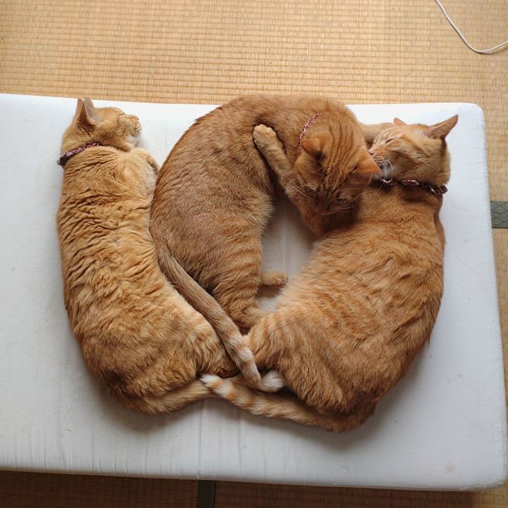 86439dd0 0c78 4d17 88b4 3c03306e5cc7 1629937956417