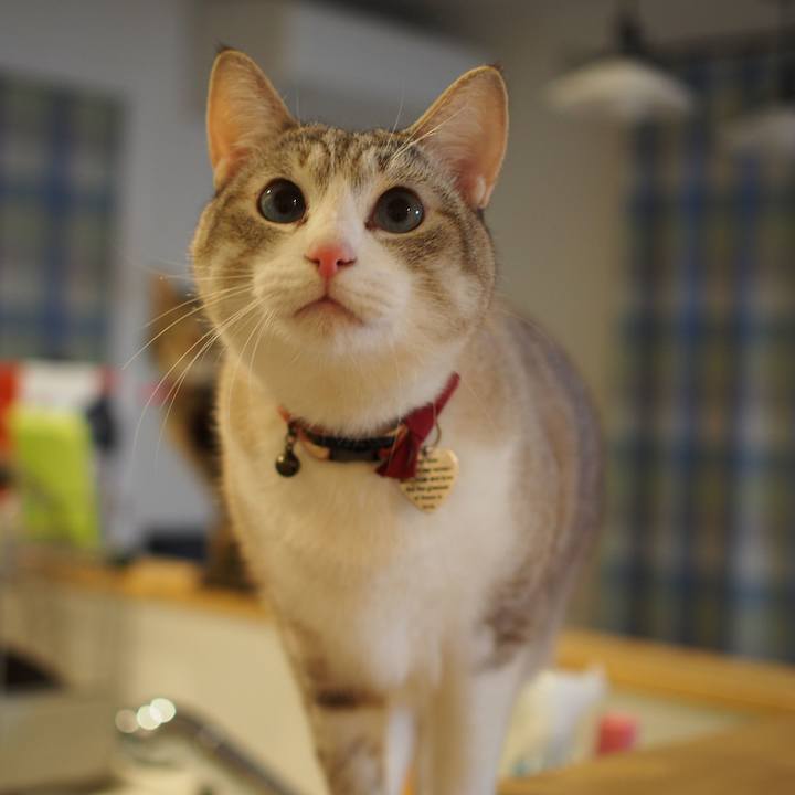 8643d192 abce 4d51 9a98 b1314ac321cf 1584869548481