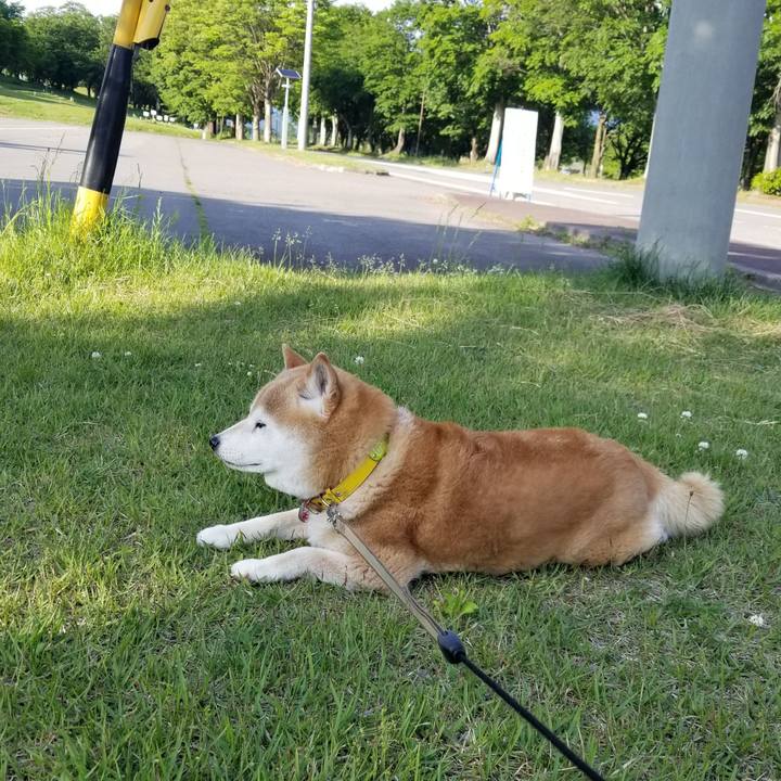 8643f68e 247b 4c2d b14f 3cf1c484b38d 1685433064065