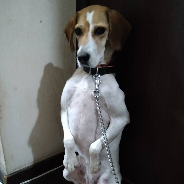 86440b66 5e90 4008 be58 9410a963b242 1632664068332