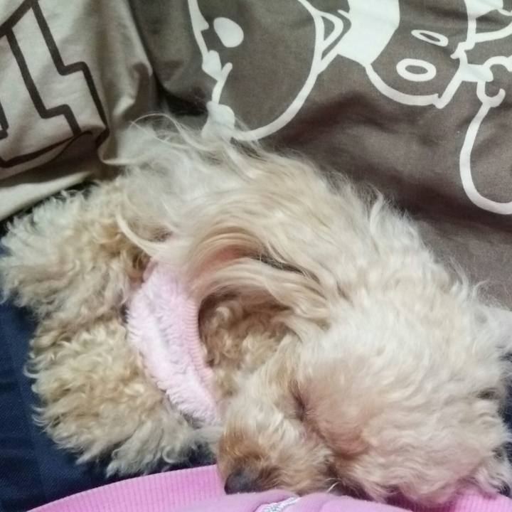 86441eb7 617f 483b b334 75db1607230e 1550662626122