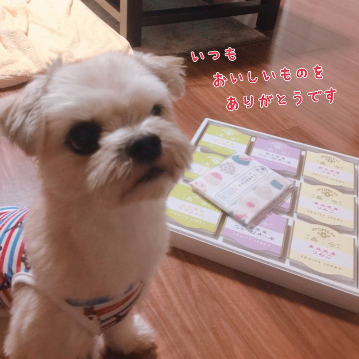 86443ed9 2429 4088 8074 c668729e3664 1537274407194