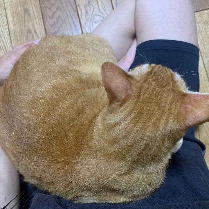 8644603d 80c1 4518 a3cb b8f8b1f1b3bb 1669290371129