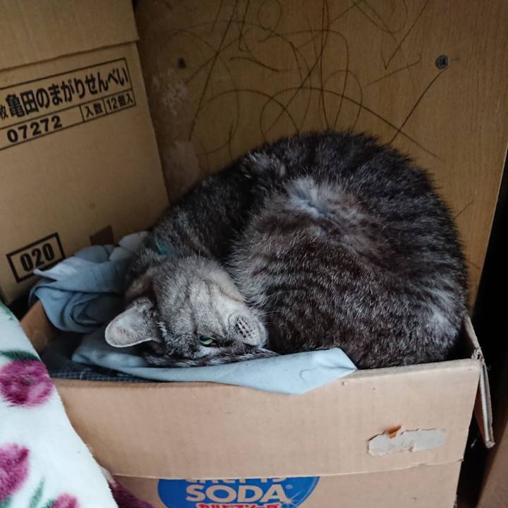 86446e8e 068c 4fc2 a88a 119af2488500 1571000490077