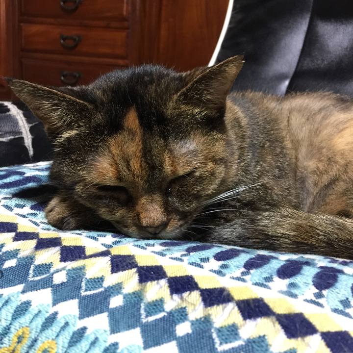 86449e92 ae7a 470e 9589 1c32049e3c10 1537854547749