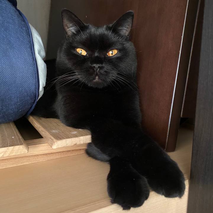 8644c625 e567 4f1f 9dca 99dd69cedfea 1601280987414