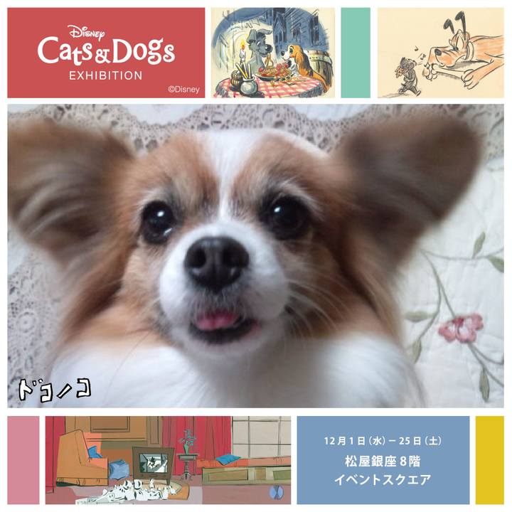 8644c782 2e17 4427 b4ec fcf79bd4938f 1638459753673