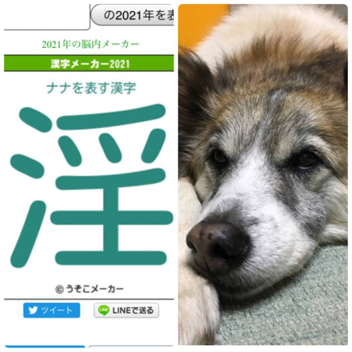 8644ee66 6e7f 4b96 b9a0 0c13dd682a04 1609892686920