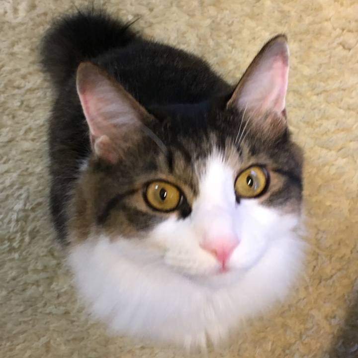 8644ff4c 9ca4 41a7 bf60 d34fe66855a0 1509006213427