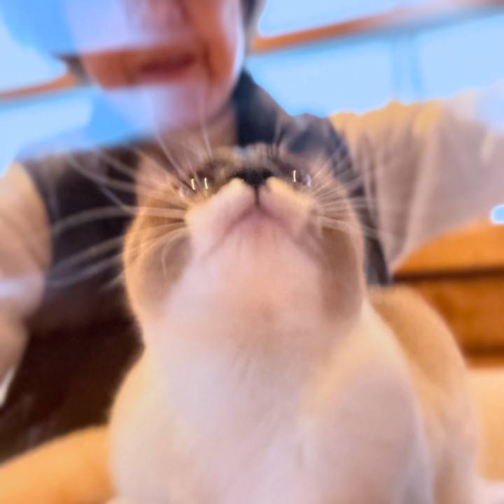 8645027a 67ad 4fad 9014 6708a3791898 1731968008883