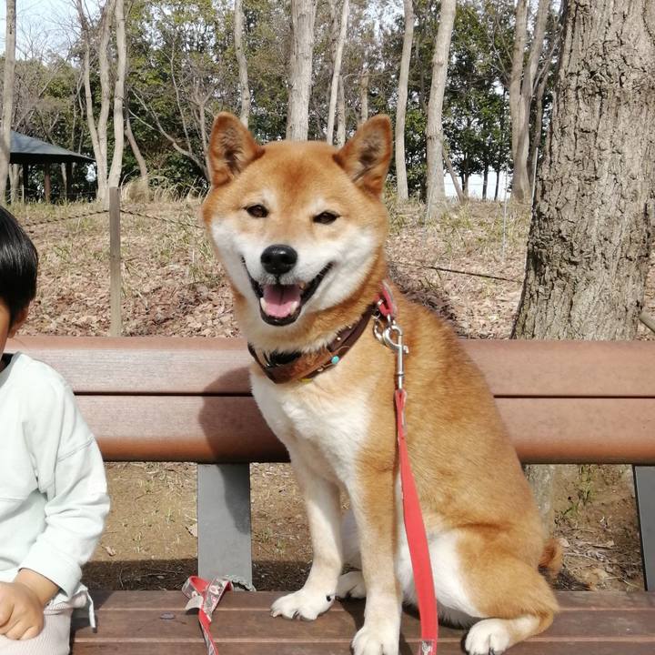 86451b57 72e2 44ca 973c 2339a525ddc6 1615963024984