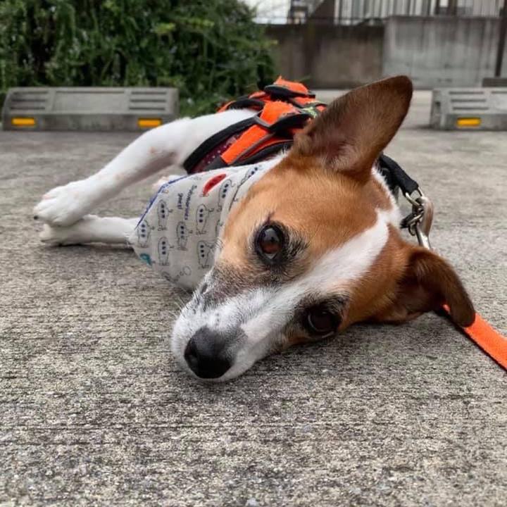 86451dd2 badd 41d3 a111 581e58bf35ae 1690766421109