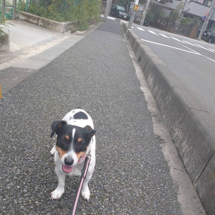 86451f3f 5b0b 465c 924a 044e88f5f806 1625283254988