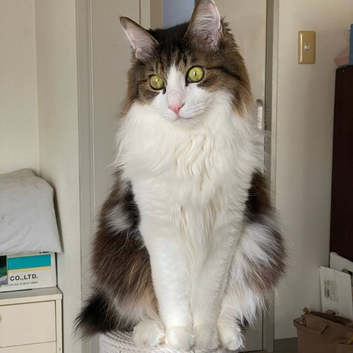 86452840 927a 46b5 b600 99367973046c 1735536779808