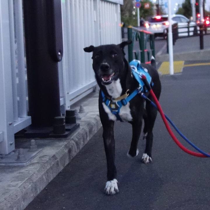 8645317c 594d 49c2 a629 5073b4131d3a 1619089813130