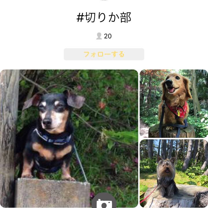 86453574 a212 4d4f 823f b200fbbec66e 1651555050162