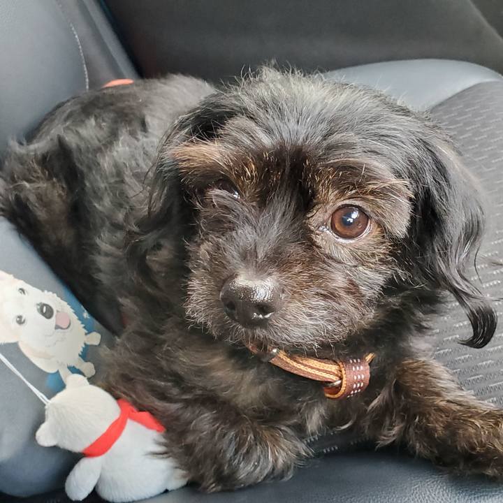 86453a66 567c 4b16 90a3 20ec47474f95 1586699790486