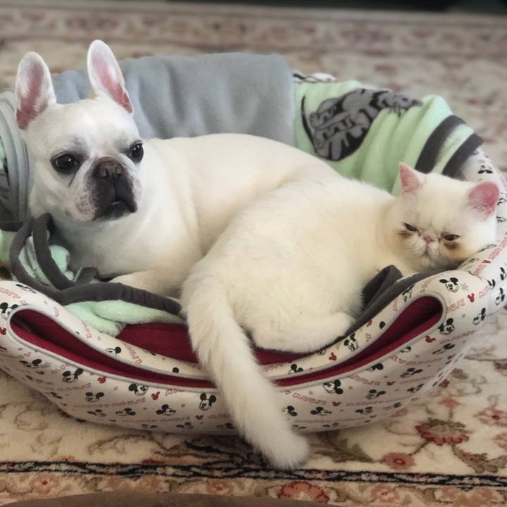 86458ffc 4085 42f3 a703 6be5383350ad 1553146892944