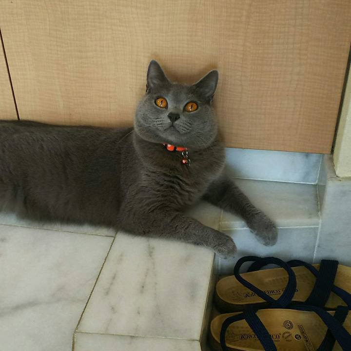 8645a0ae 01a7 4629 92ff bbaf4f30e8c3 1533271900327