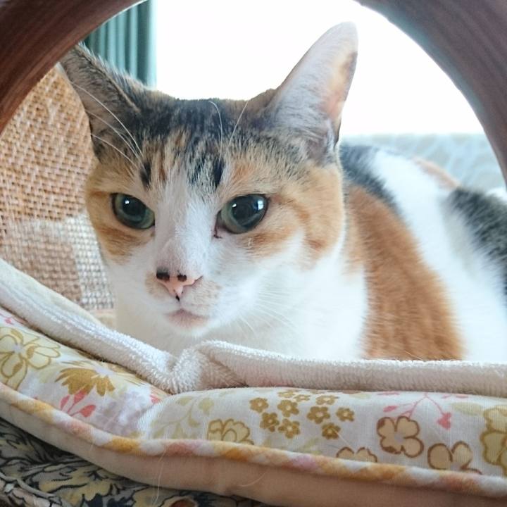 86466246 cda6 44bd af57 951183b2680e 1525313617989