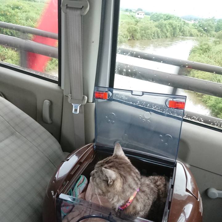 8646857a 55cc 4876 bd49 88180eae0908 1596876756714