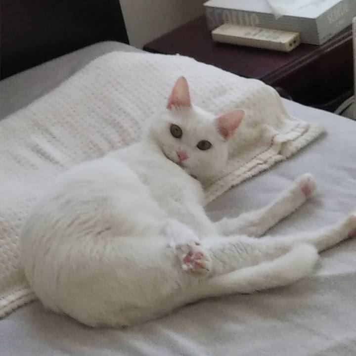 8646a725 58b5 4a4e a18f e9d2d50c6aa4 1624594567053