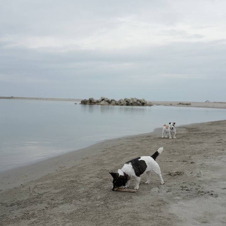 8646b38d 2157 4c97 b5c3 082fe817f33d 1561610028501