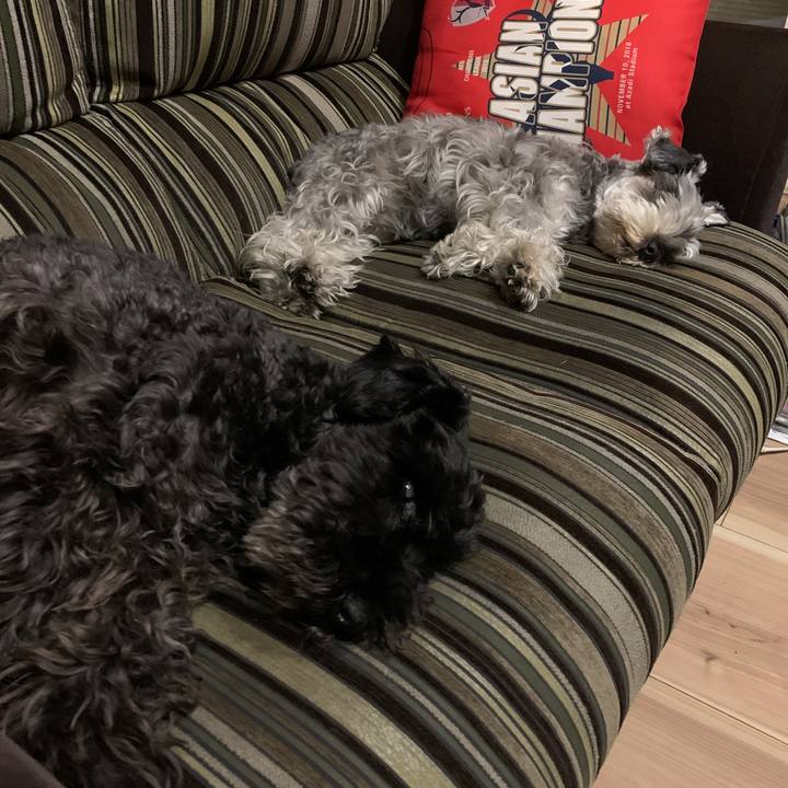 8646b767 9be7 446c a94e 352f0a7df9d8 1589461933695