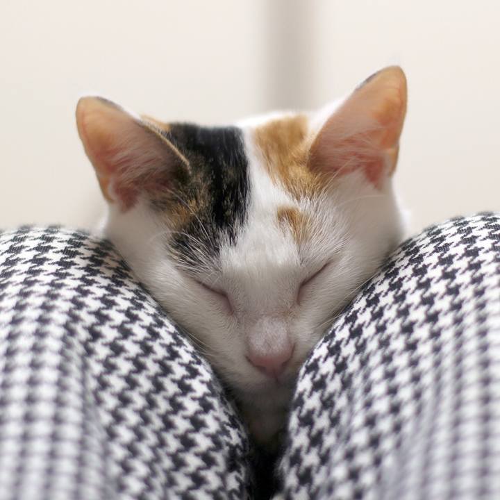 8646b7f1 4aa7 4007 8881 a16b5c90d193 1581550859771