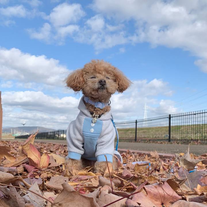 8646fc7c 9316 419d 9b25 a0034af7e6dd 1765610430530