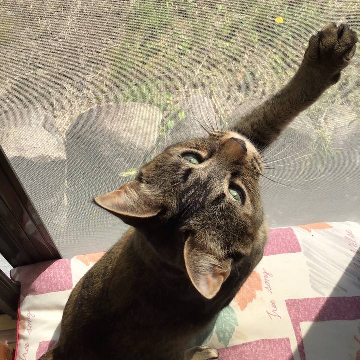 86470df9 e3a1 4661 af26 7a50d0141b97 1587016916129